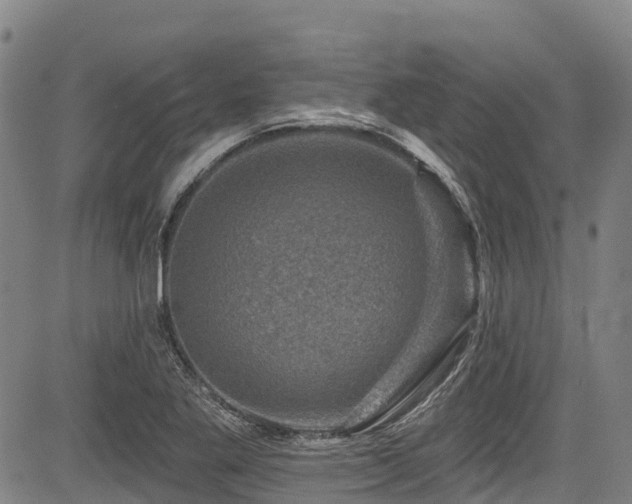 X0000084051269200702161458