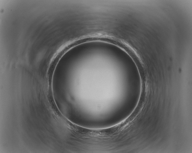 X0000084051270200702161458