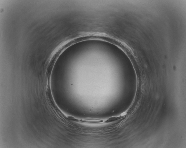 X0000084051271200702161458