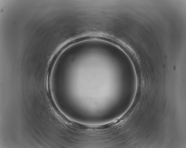 X0000084051272200702161458