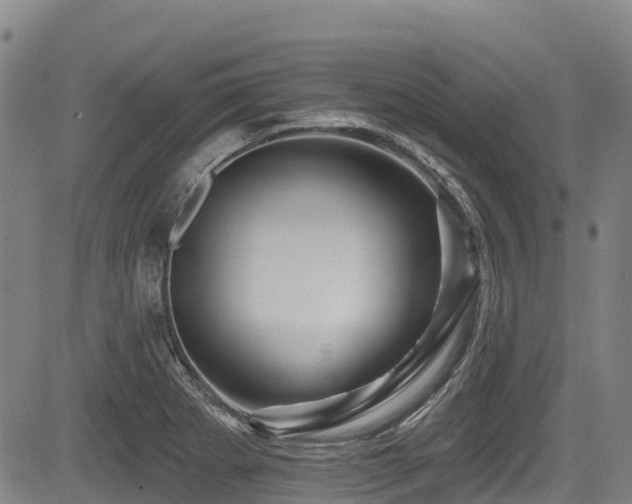 X0000084051273200702161458