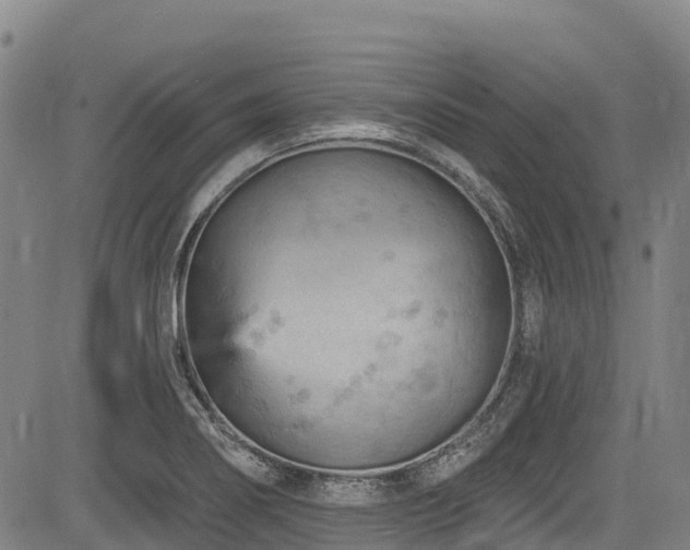 X0000084051274200702161458