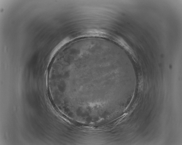 X0000084051275200702161458