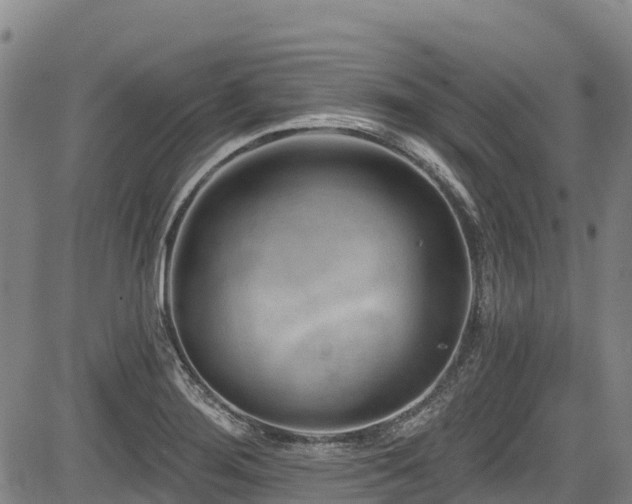 X0000084051276200702161458