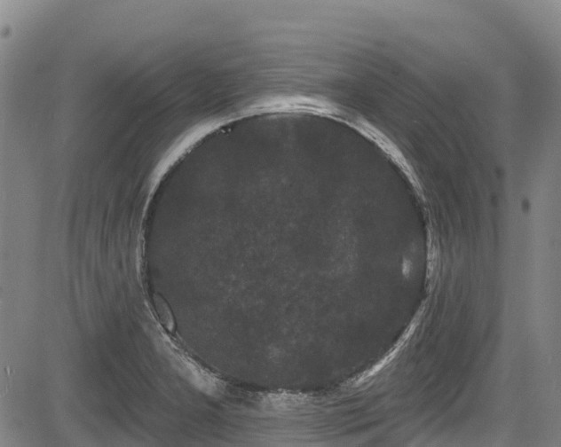 X0000084051277200702161458