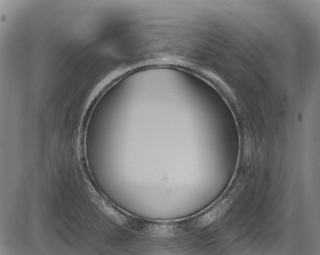 X0000084051278200702161458