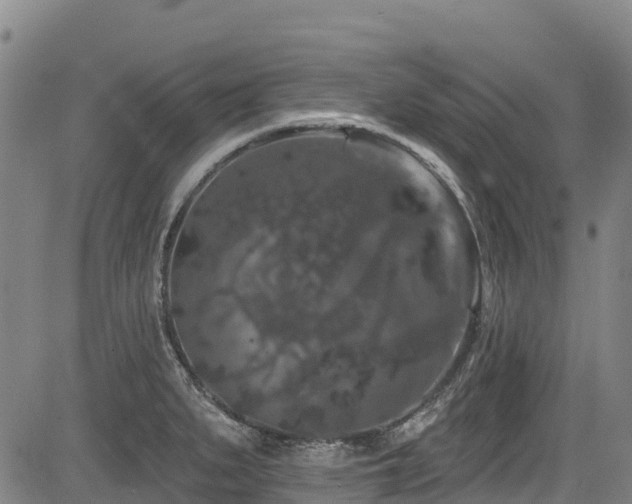 X0000084051279200702161458