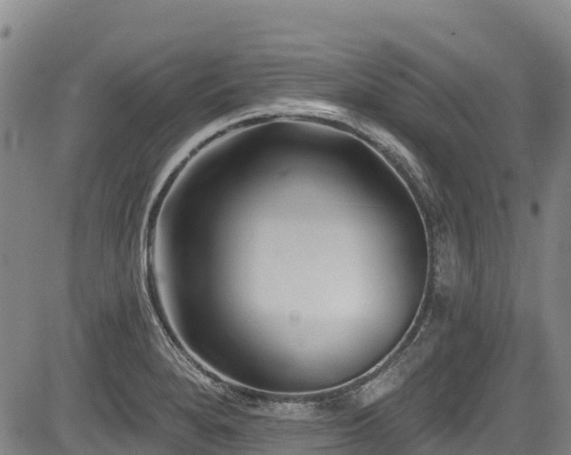 X0000084051280200702161458