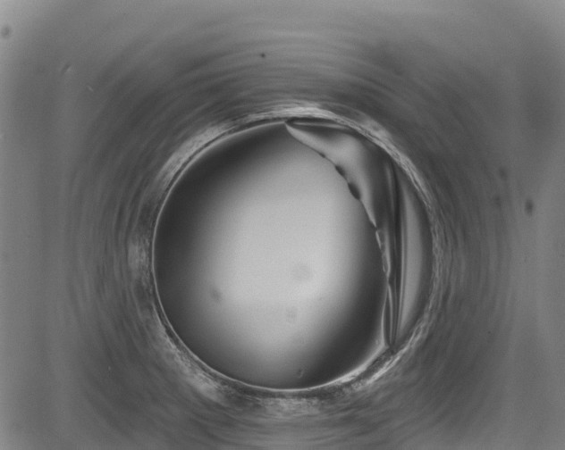 X0000084051281200702161458