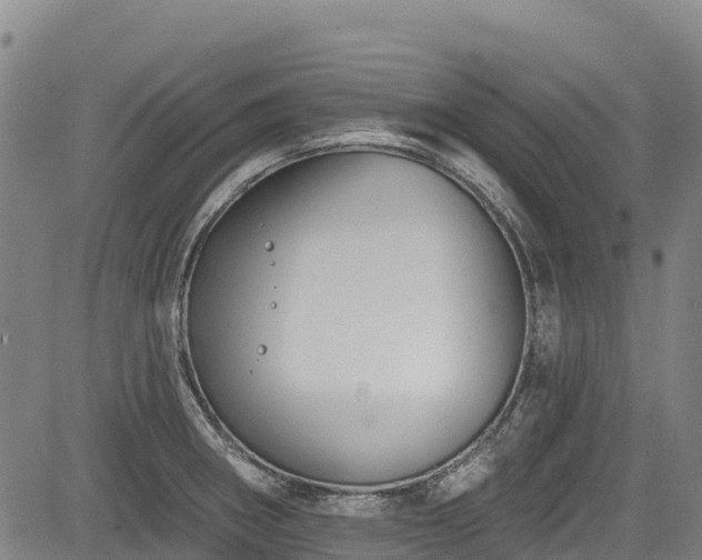 X0000084051282200702161458