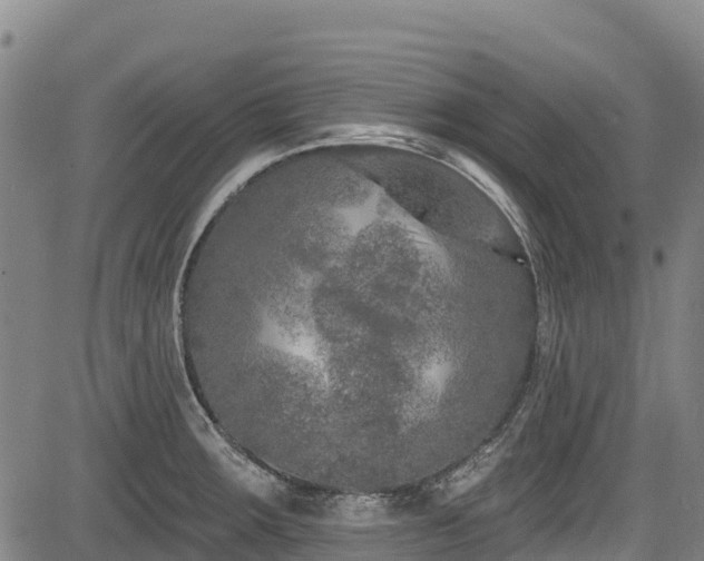 X0000084051283200702161458