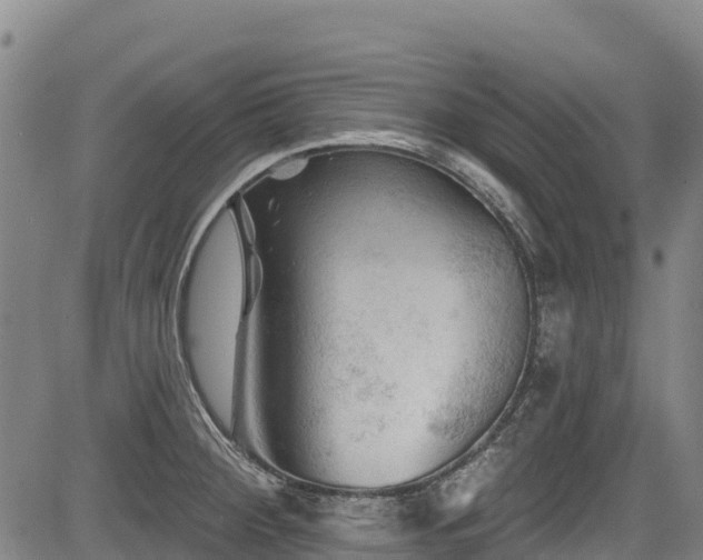 X0000084051284200702161458