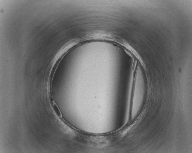 X0000084051285200702161457