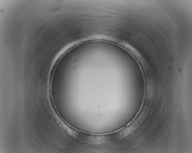 X0000084051286200702161457