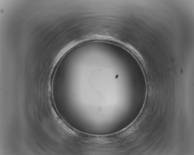 X0000084051287200702161457