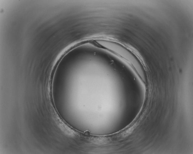 X0000084051288200702161457