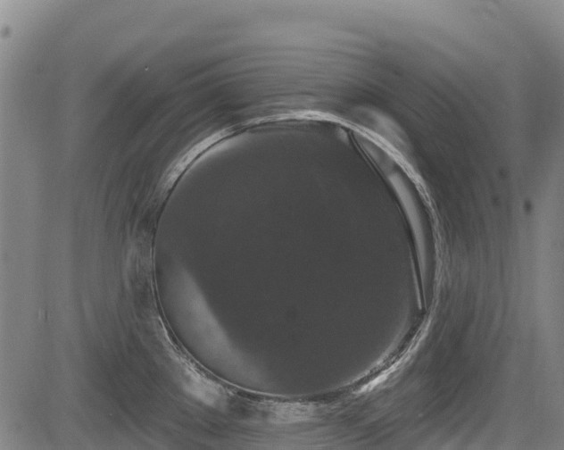 X0000084051289200702161457