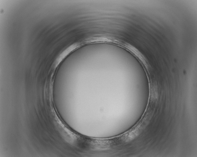 X0000084051290200702161457