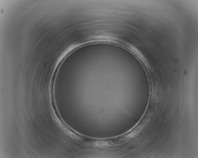 X0000084051291200702161457