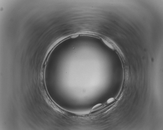 X0000084051292200702161457