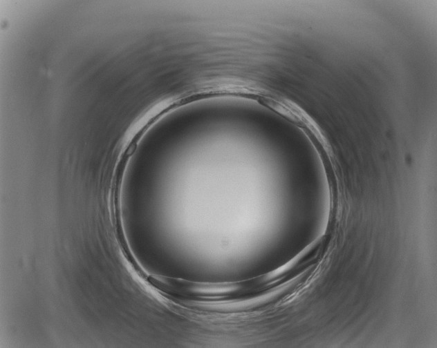 X0000084051293200702161457