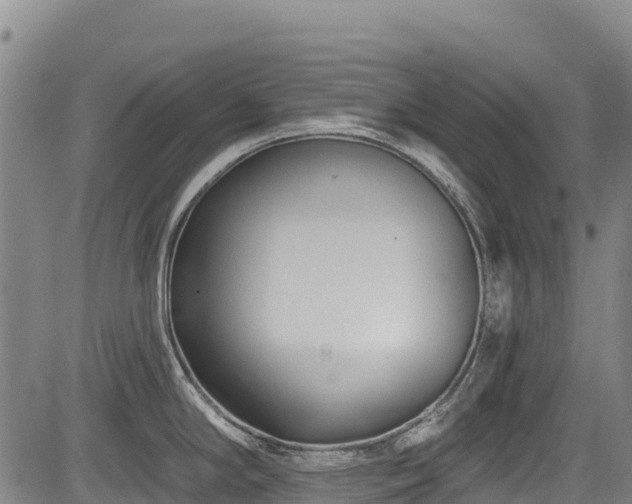 X0000084051294200702161457