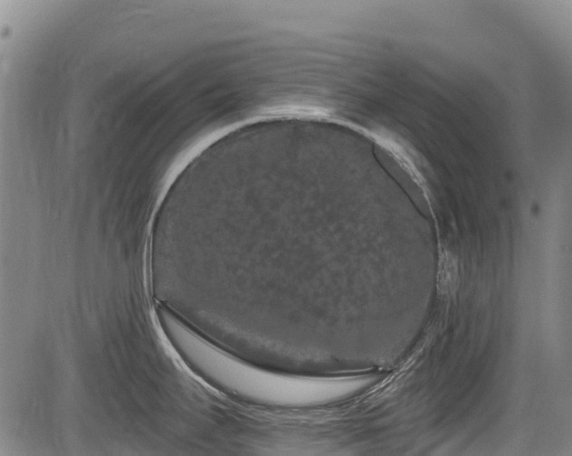 X0000084051295200702161457