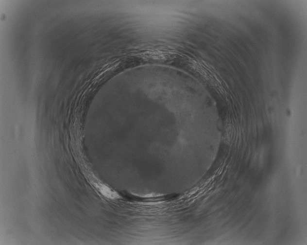 X0000084051297200702161457