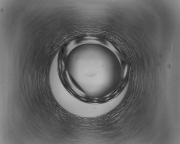 X0000084051298200702161457