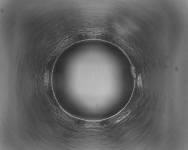 X0000084051299200702161457