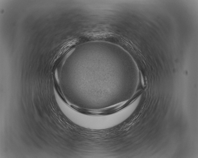 X0000084051300200702161457