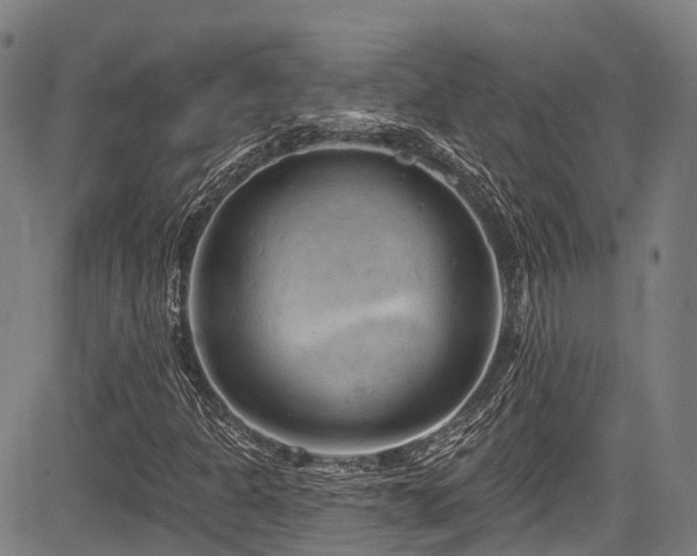 X0000084051301200702161457