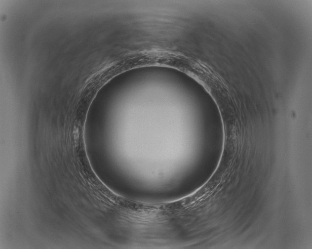 X0000084051302200702161457