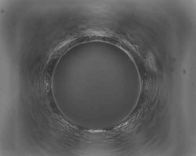 X0000084051303200702161457