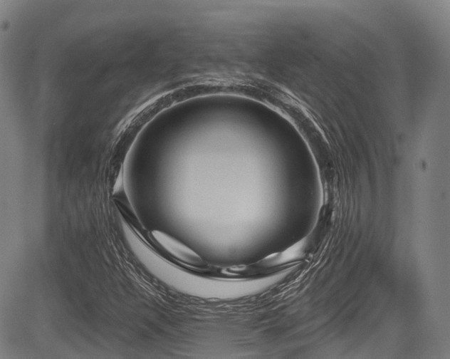 X0000084051304200702161457