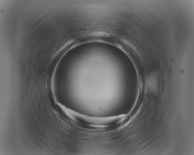 X0000084051305200702161457