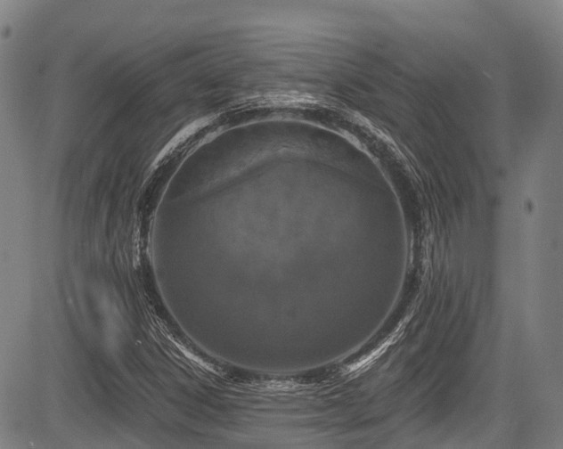 X0000084051306200702161457