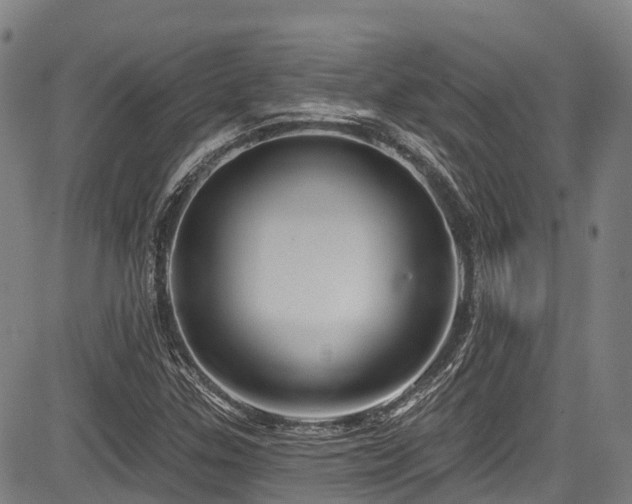 X0000084051307200702161457