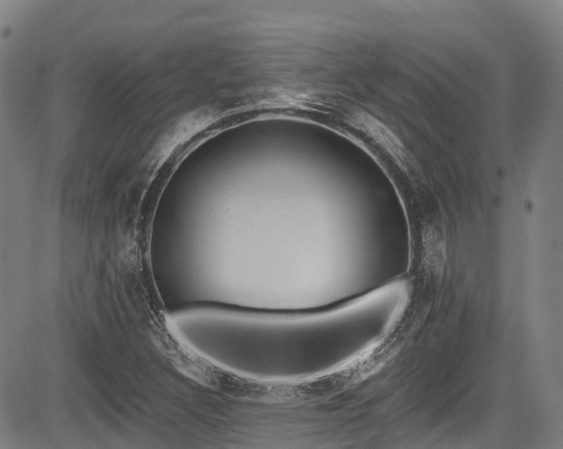 X0000084051308200702161457