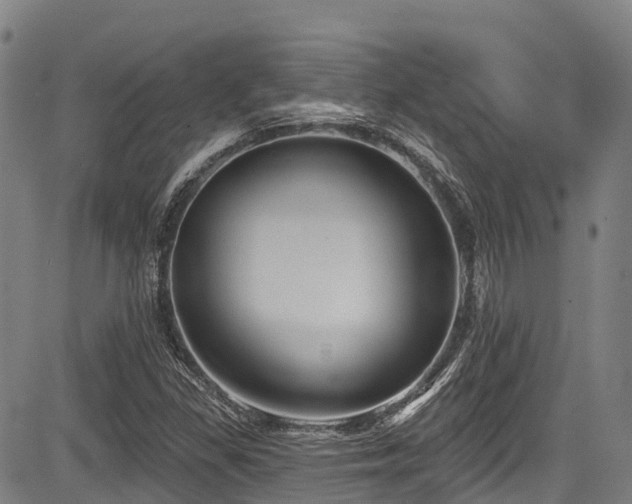 X0000084051309200702161457