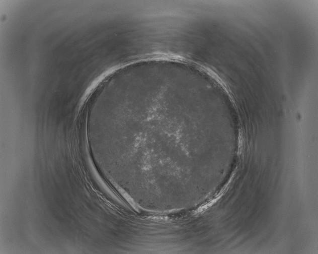 X0000084051310200702161457