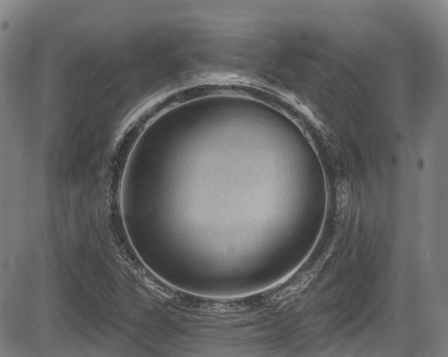 X0000084051311200702161457