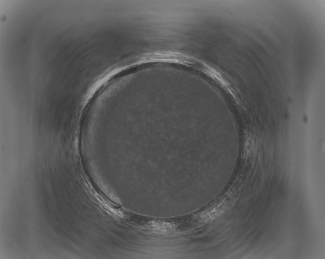 X0000084051312200702161457