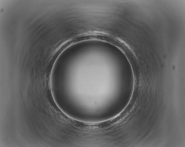 X0000084051313200702161457