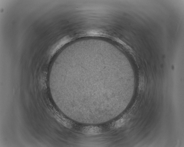 X0000084051314200702161457