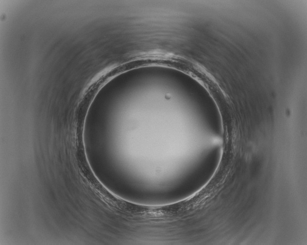 X0000084051315200702161457