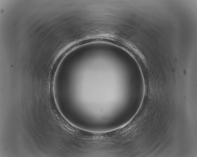 X0000084051316200702161457