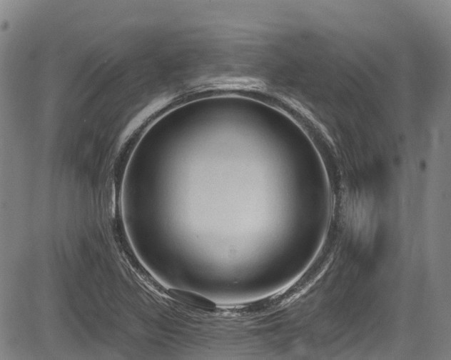 X0000084051317200702161457