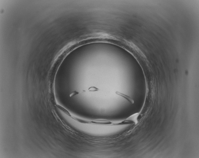 X0000084051318200702161457