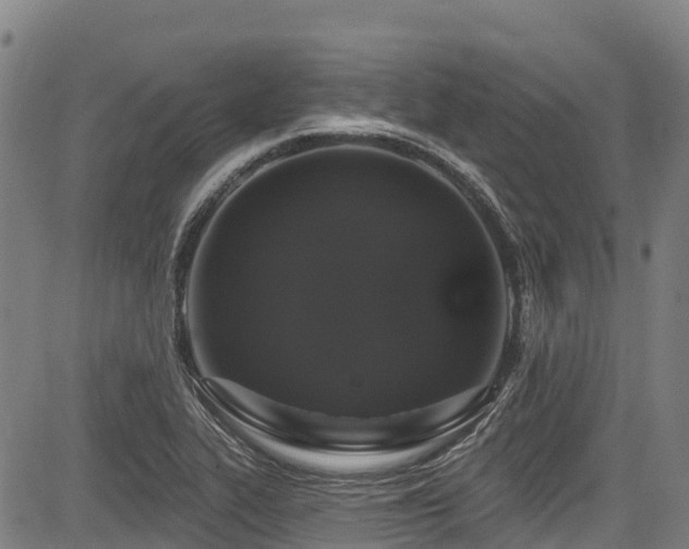 X0000084051319200702161457